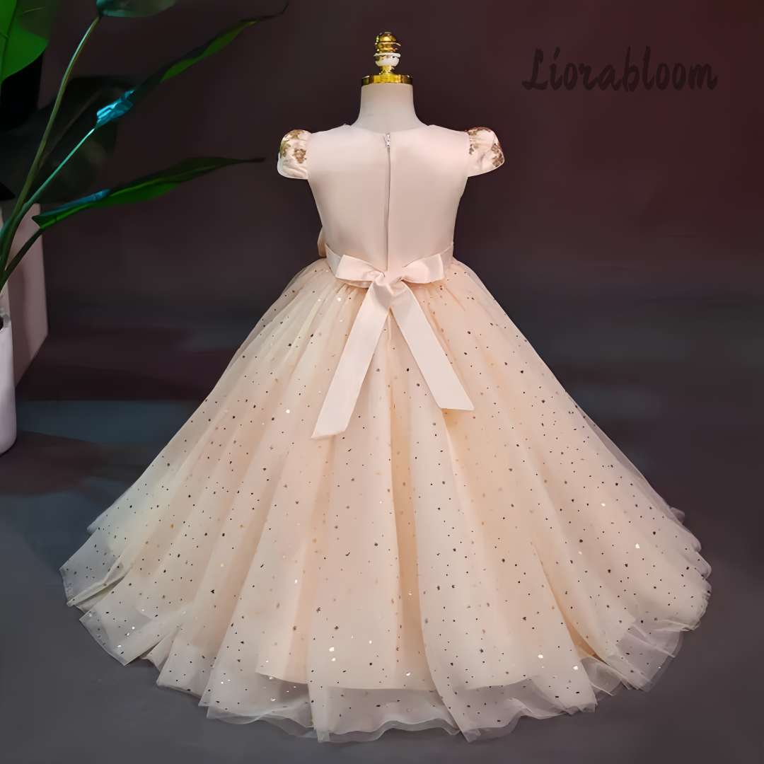Formal Multicolor Evening Gown - Women'S Formal Wear For Girls avis et prix