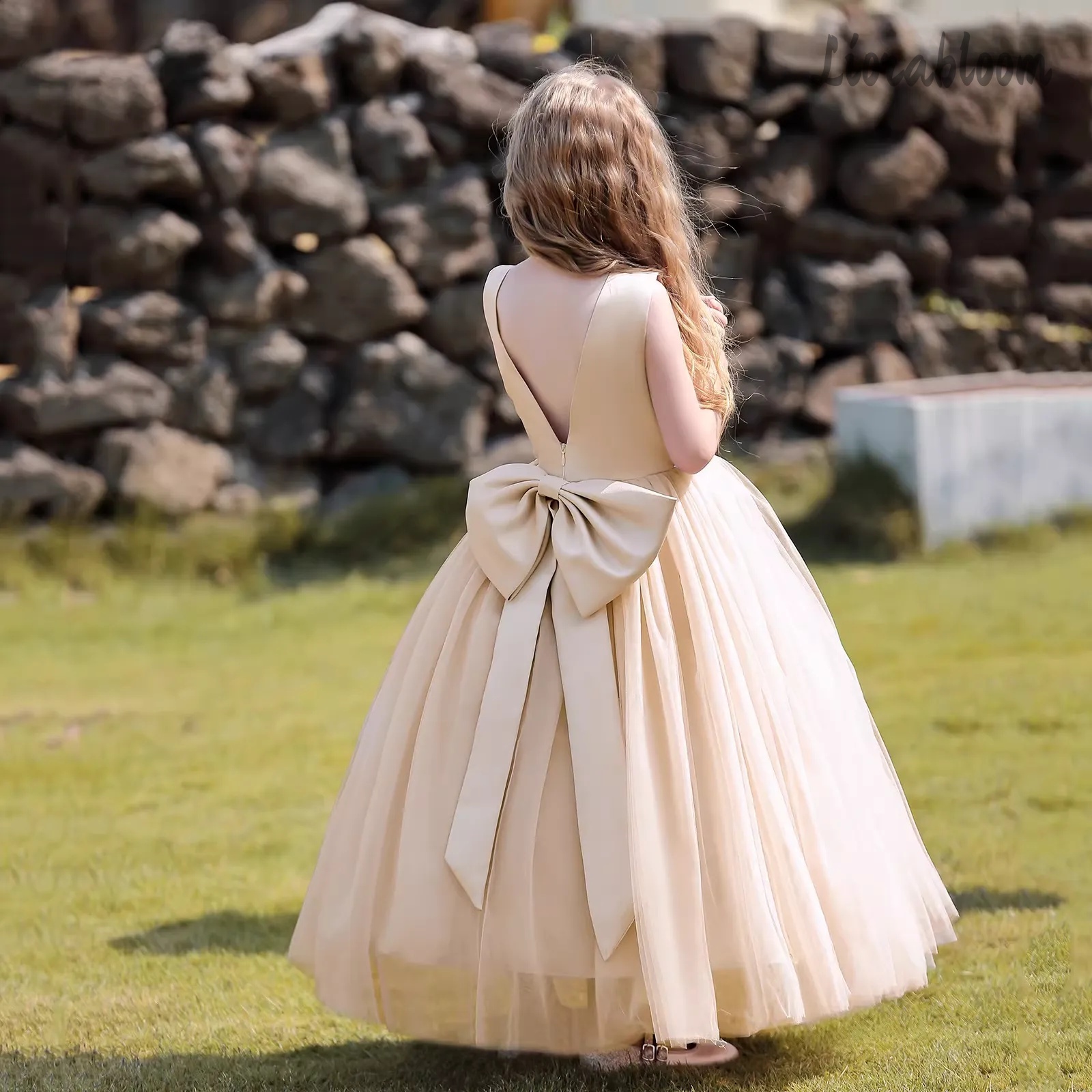 Multicolor Backless Princess D - Women'S Elegant Formal Wear avis et prix